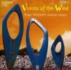 Diverse: Voices of the Wind - The Sound of Aeolian Harps